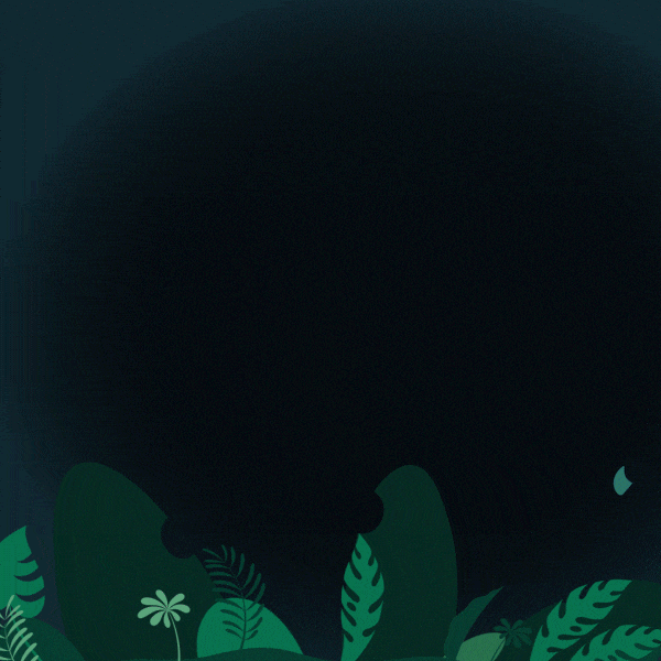 jungle