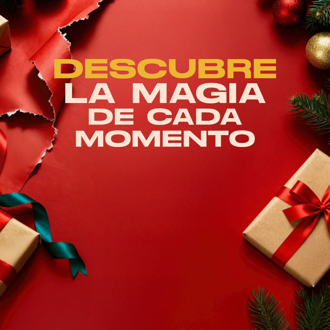 programacion