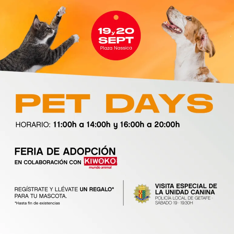 feria de adopción