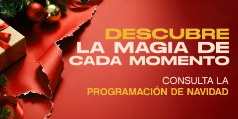programación de navidad